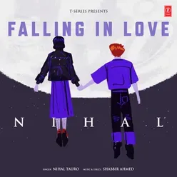 Falling In Love Poster